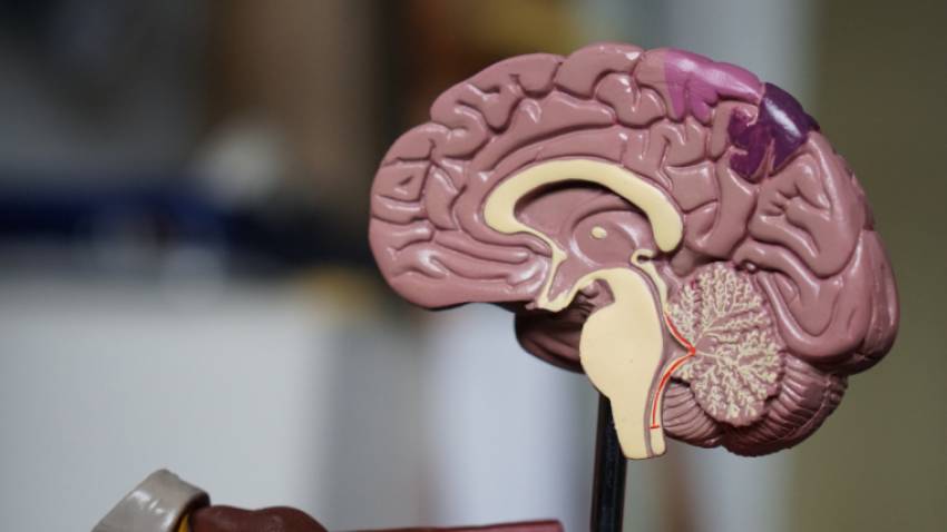 Un neurolog creștin detaliază parametrii etici ai tehnologiei de citire a creierului
