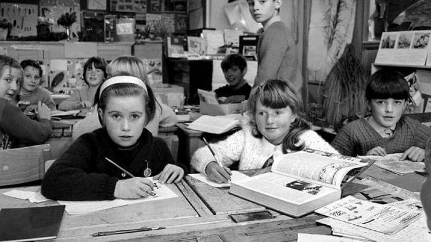 De ce doreşte puterea politică să forţeze introducerea de educaţie sexuală în şcoli, începând cu clasele primare?