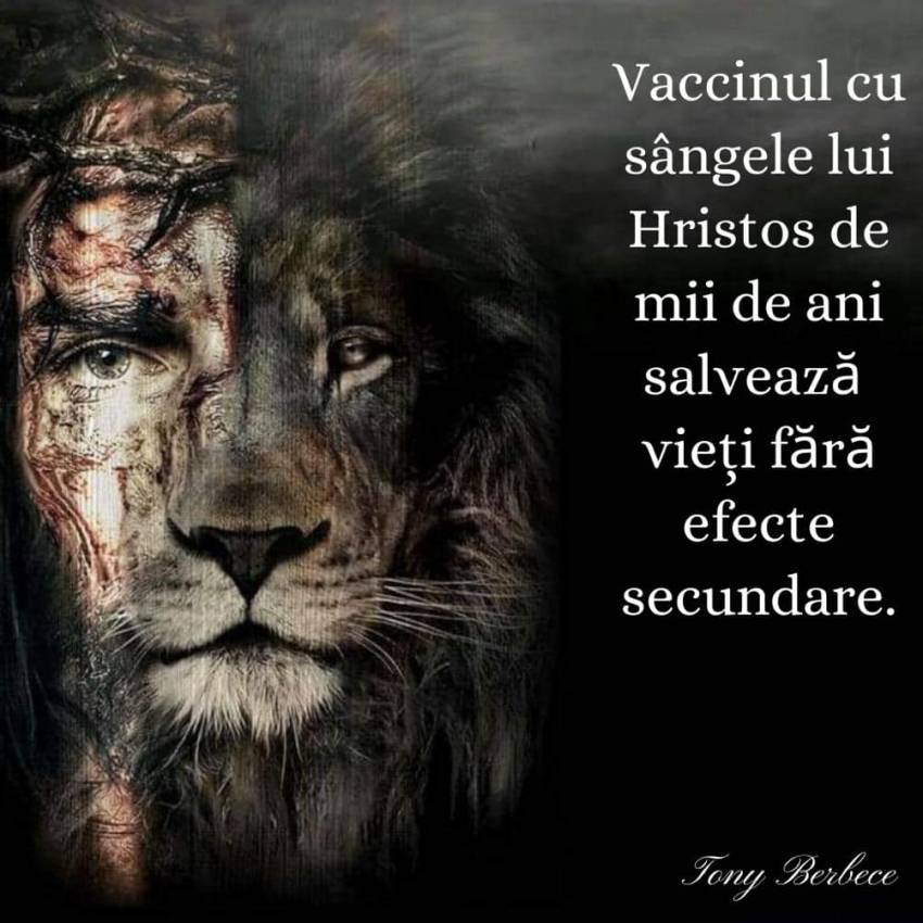 Tony Berbece ◉ Vaccinul cu defect și cel fără defect...