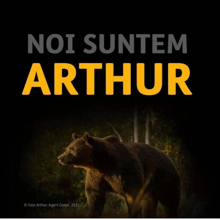Tony Berbece ◉ Nu suntem o țară ieftină cum credeți...