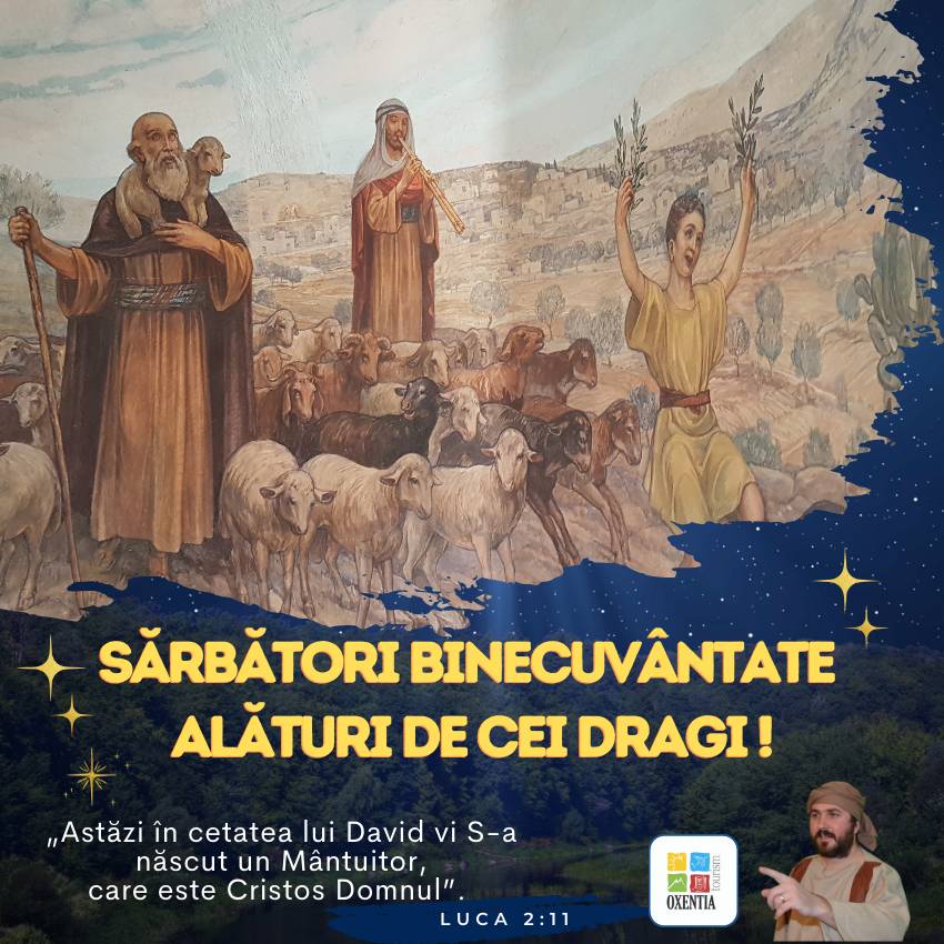 Bun venit la Betleem, bun venit în „Casa Pâinii” - Oxentia Tourism