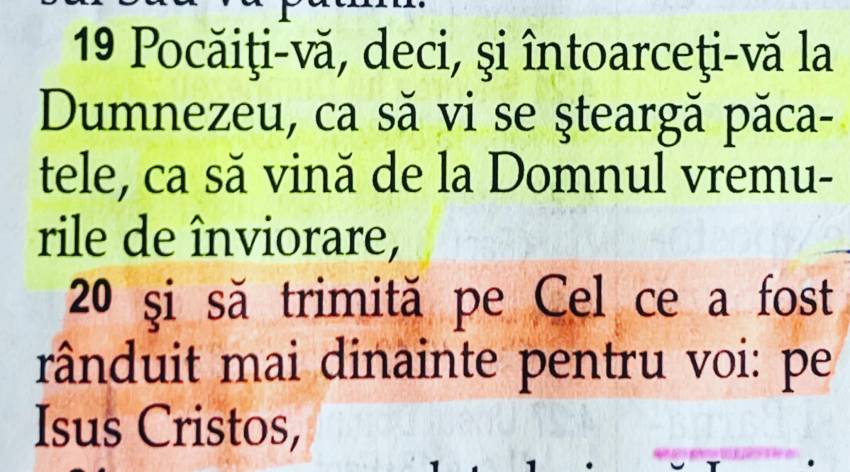 Tony Berbece ◉ Tu ce ai face cu niște mormane de broaște?