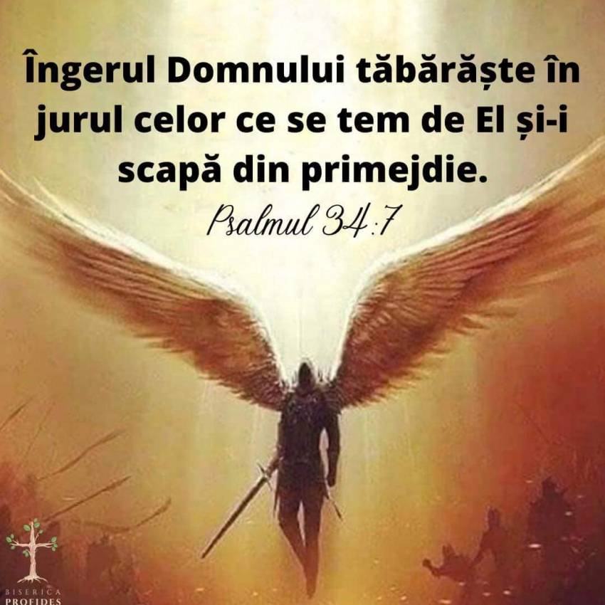 Tony Berbece ◉ Îngerii să lupte pentru ucraineni și români…