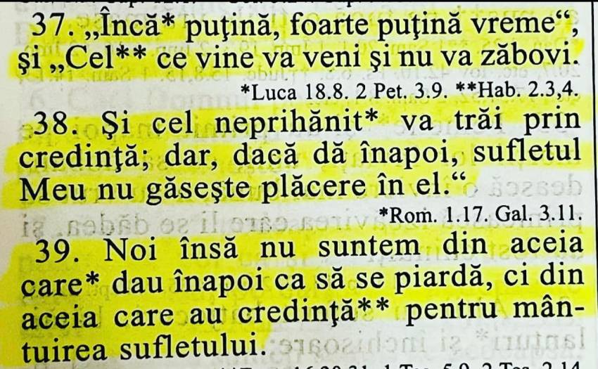 Tony Berbece ◉ Mai răbdați puțin…