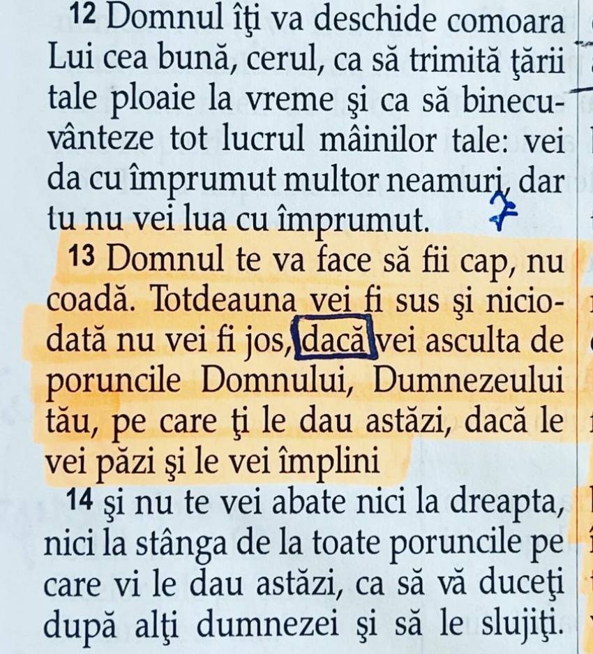 Tony Berbece ◉ Tu vei avea să dai si altora…