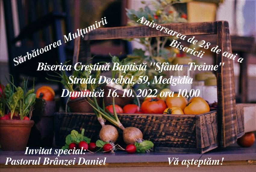 Daniel Brânzei la Biserica Sfânta Treime Medgidia