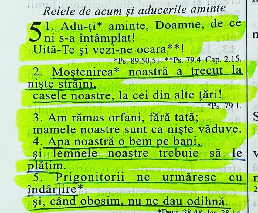 Tony Berbece ◉ Ne luăm moștenirea înapoi…