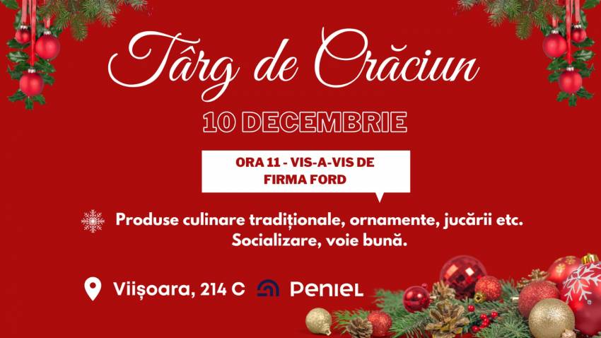 Târg de Crăciun (caritabil) la Bistrița