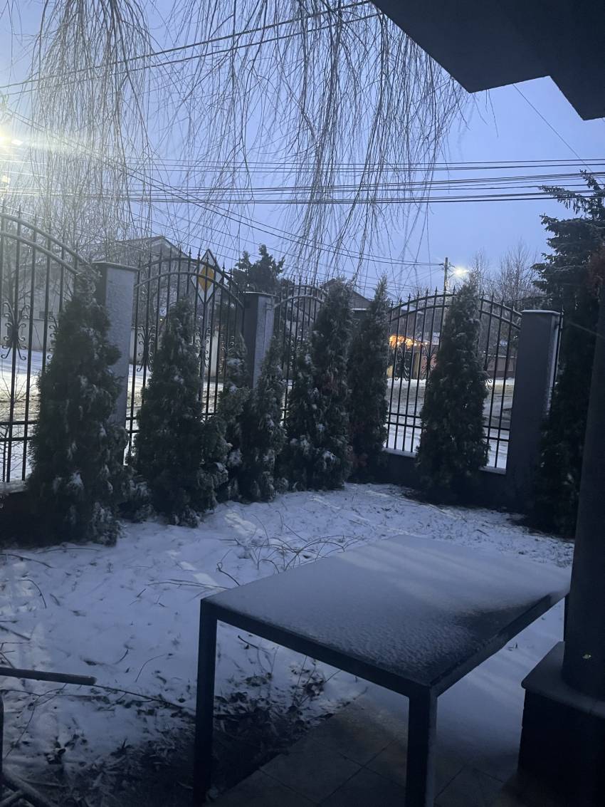 Florin Ianovici ◉ Caută de vino înainte de iarnă