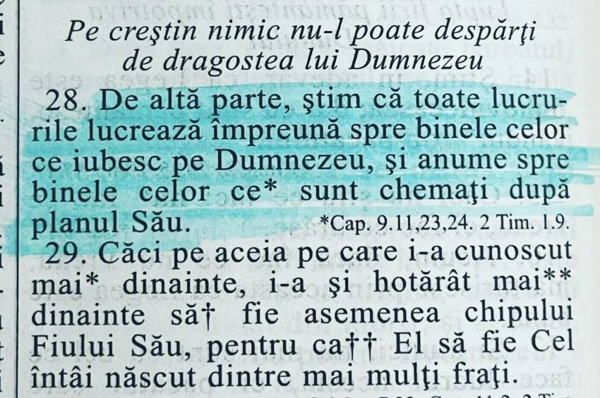 Tony Berbece ◉ “Domnule Toni, mi-au furat catalizatorul!”