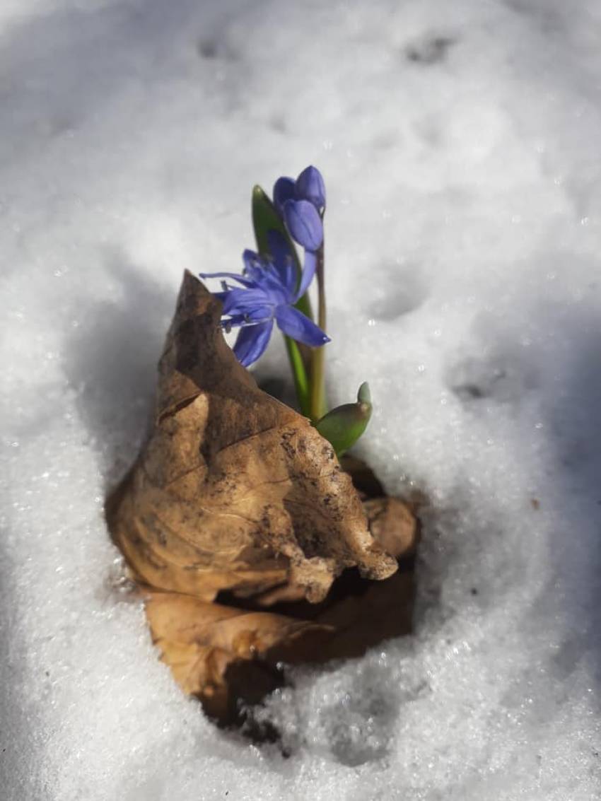 Florin Ianovici ◉ Foamea după frumusețe