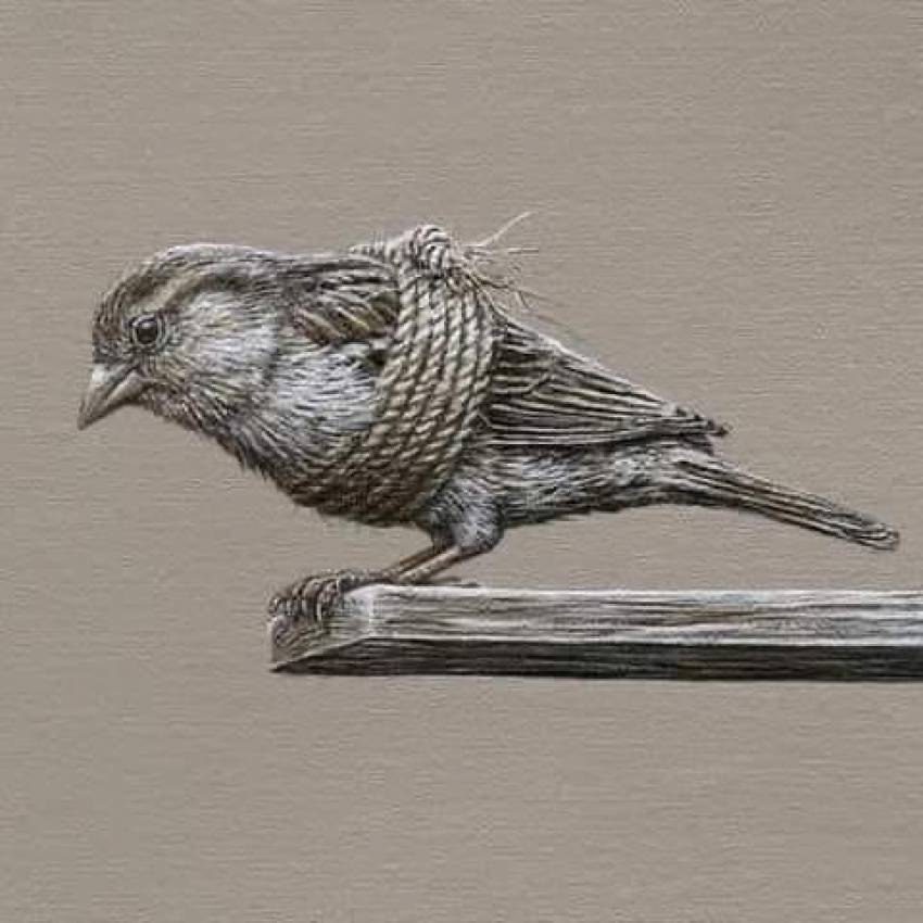 Eugen Porcilescu ◉ Oare cine trăiește cu adevărat și cine moare?