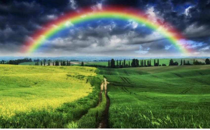 Tony Berbece ◉ Ne luam curcubeul înapoi…