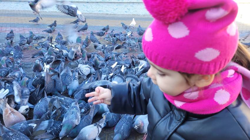 Sali Sabri ◉ Noi, oamenii mari, nu prea știm să ne mai bucurăm...