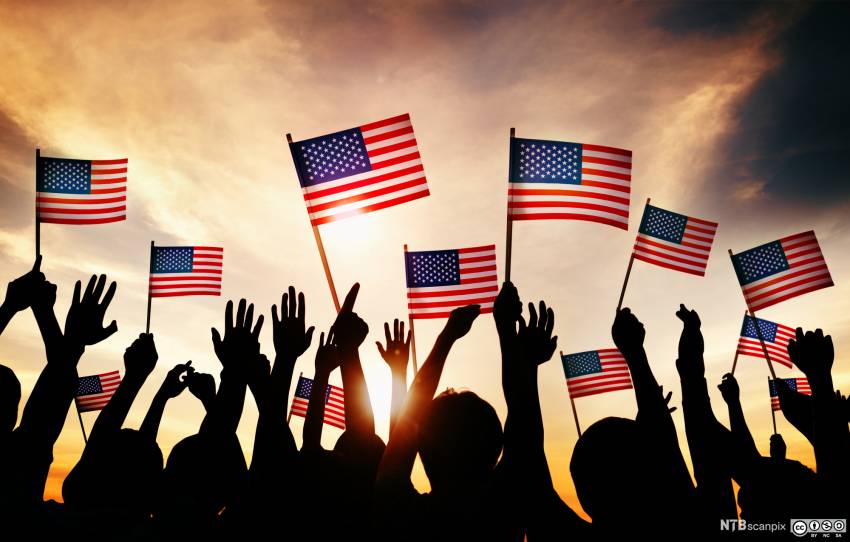 Nicolae Geantă ◉ Ce lipsește americanilor 