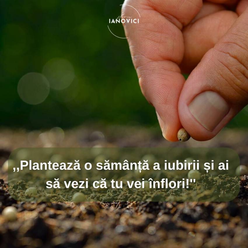 Florin Ianovici ◉ Tu cum iubești?