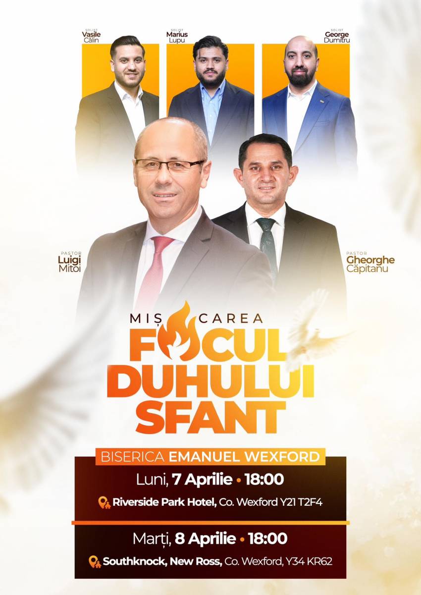 Luigi Mițoi la Wexford