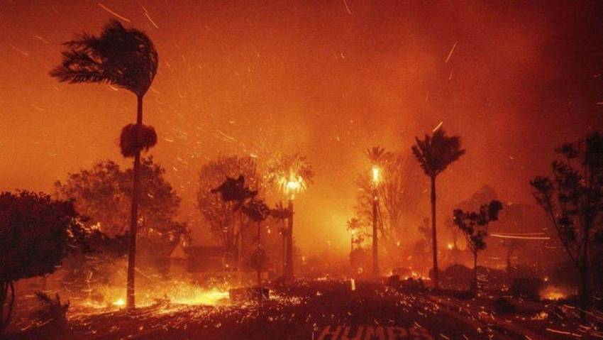 Dan Boingeanu ◉ UN FOC MULT MAI ÎNFRICOȘĂTOR!