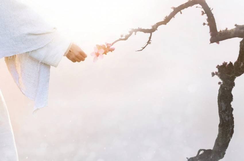 Vasi Duma ◉ Urarea mea