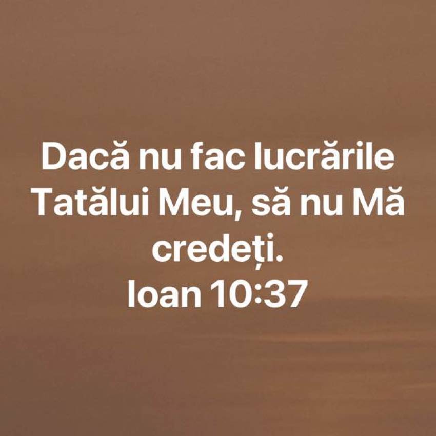 Nelu Filip ◉ A FACE CEEA CE FACE TATĂL 