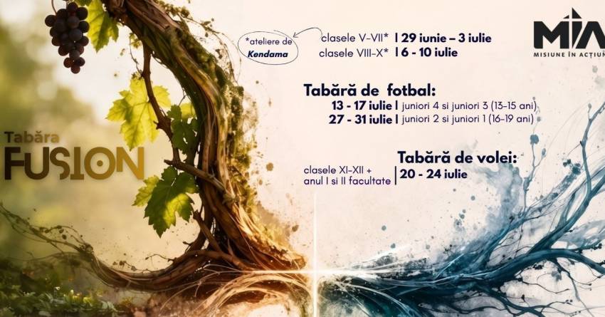 Tabăra MIA