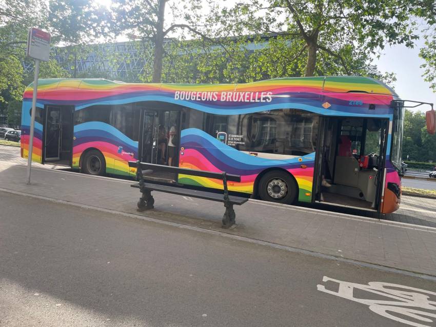 Ubicuitatea simbolurilor elgibitiste în Bruxelles devine iritantă...
