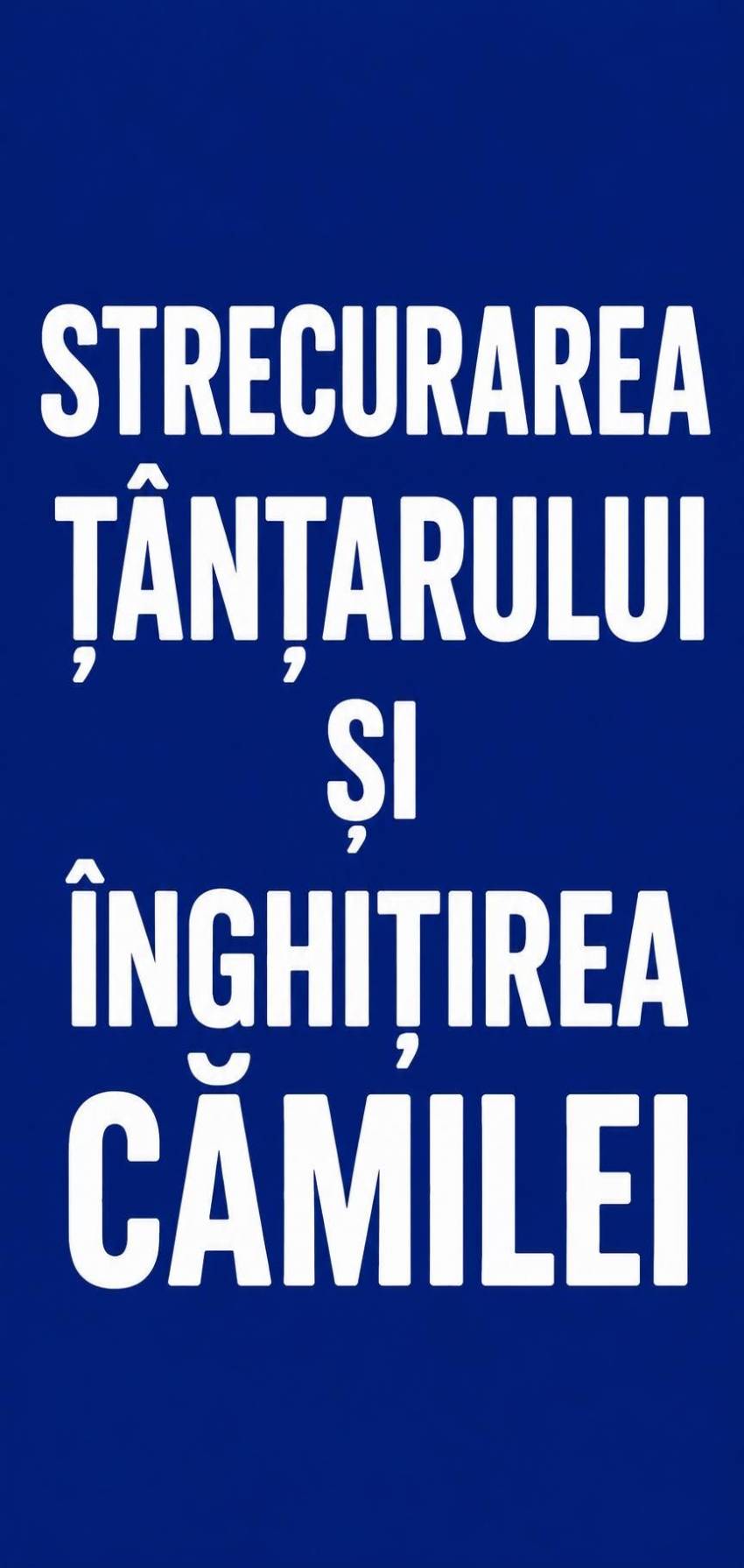Nelu Filip ◉ CÂND STRECURĂM ȚÂNȚARUL ȘI ÎNGHIȚIM CĂMILA 