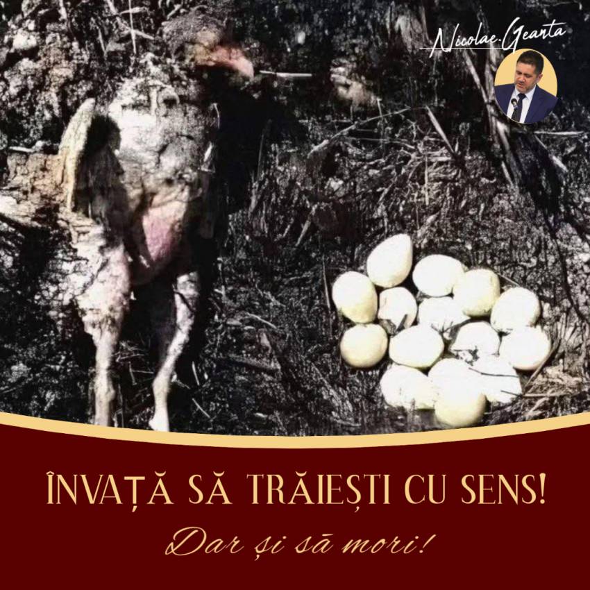 Nicolae Geantă ◉ Învață să mori cu sens