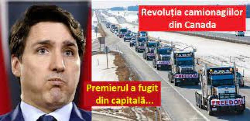 RVE Timișoara: Canada se mișcă | Marșul camioanelor ◉ Interviu cu Ioan Szasz