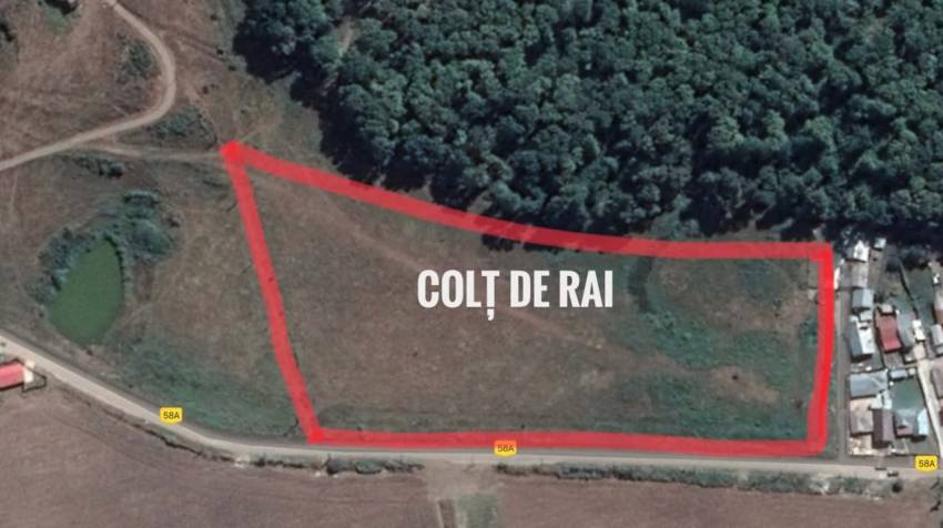 Asociația Lumină pentru Romi ◉ Construim un cartier pentru copii din orfelinate | COLȚ DE RAI