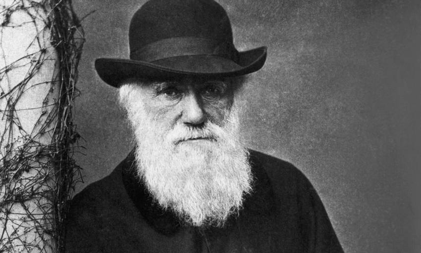 Peter Costea ◉ Darwin, misoginul