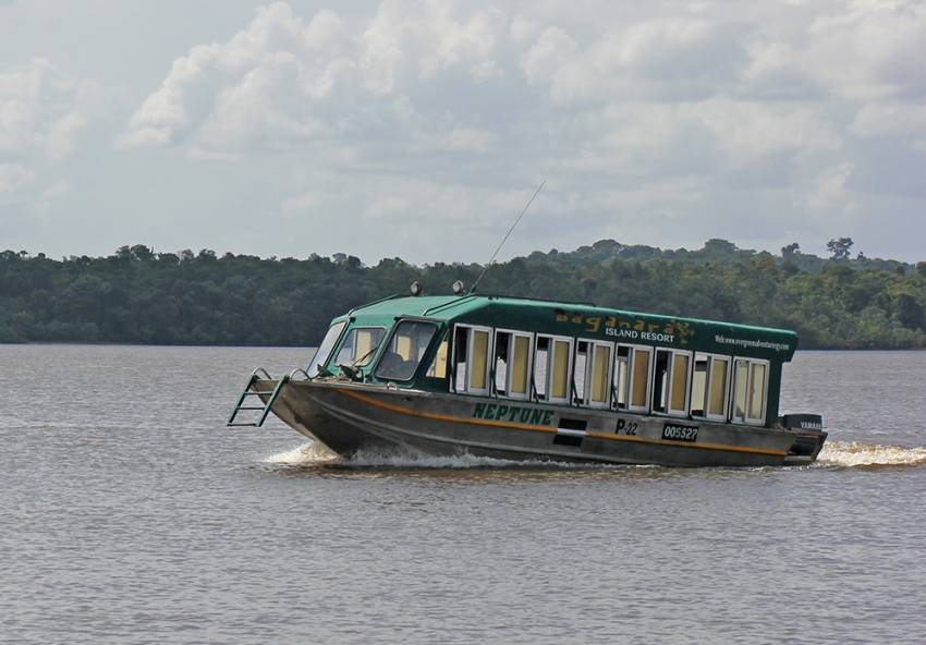 Peter Costea ◉ Bartica, Guyana sau viitor fără oameni vii (II)