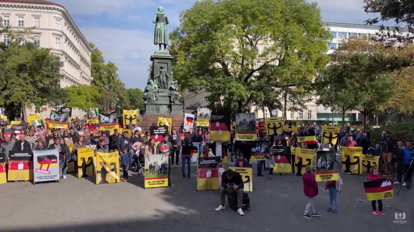 VIDEO: Manifestație de solidaritate cu familia Furdui la Viena