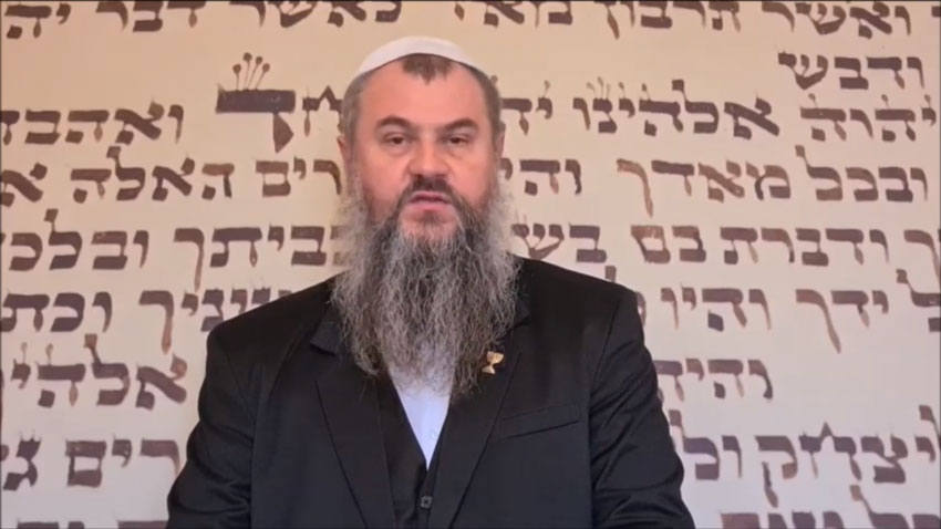 Shaliach David ◉ Mesaj Octava 2021