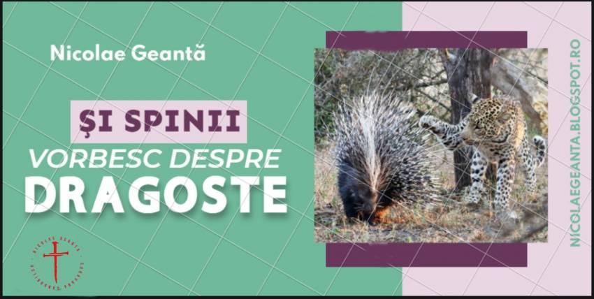 Nicolae Geantă ◉ Și spinii vorbesc despre dragoste