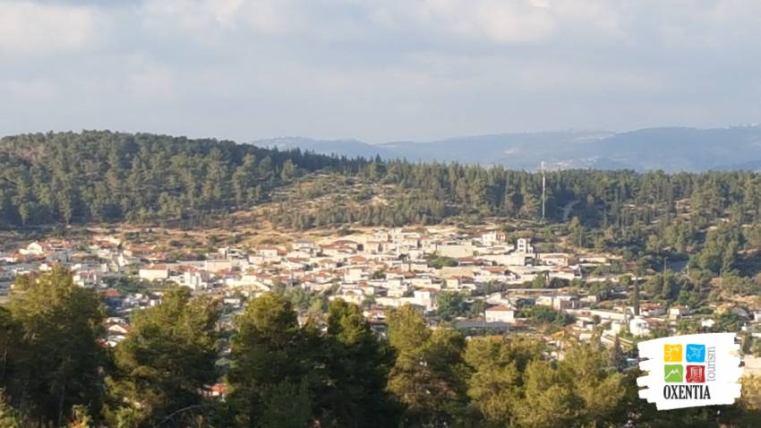 Podcast ”Călător în Țara Sfântă” :: Episodul 35 - Ierusalim - Valea Terebinților