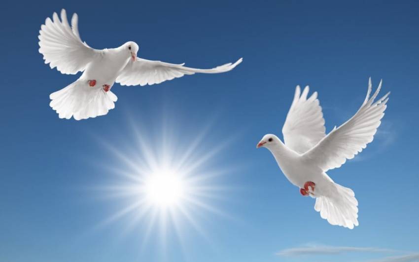 Onisim Botezatu ◉ Marea relaxare sufletească. Pacea!