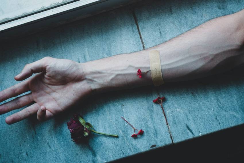 Canibalismul medical (I)