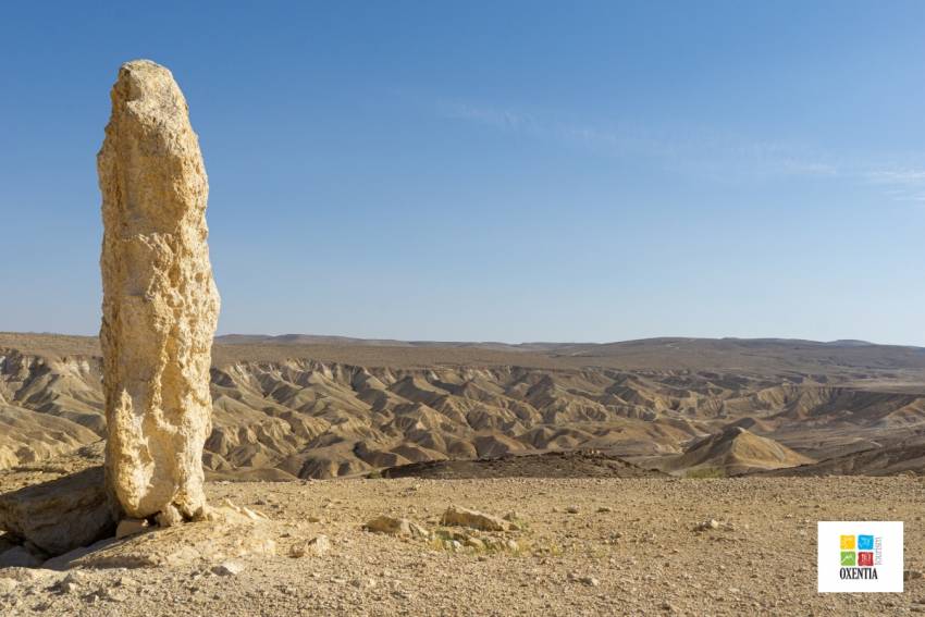 ✈️ Deșertul Negev – prezentare a acestei zone care înflorește în Israel | Oxentia Tourism