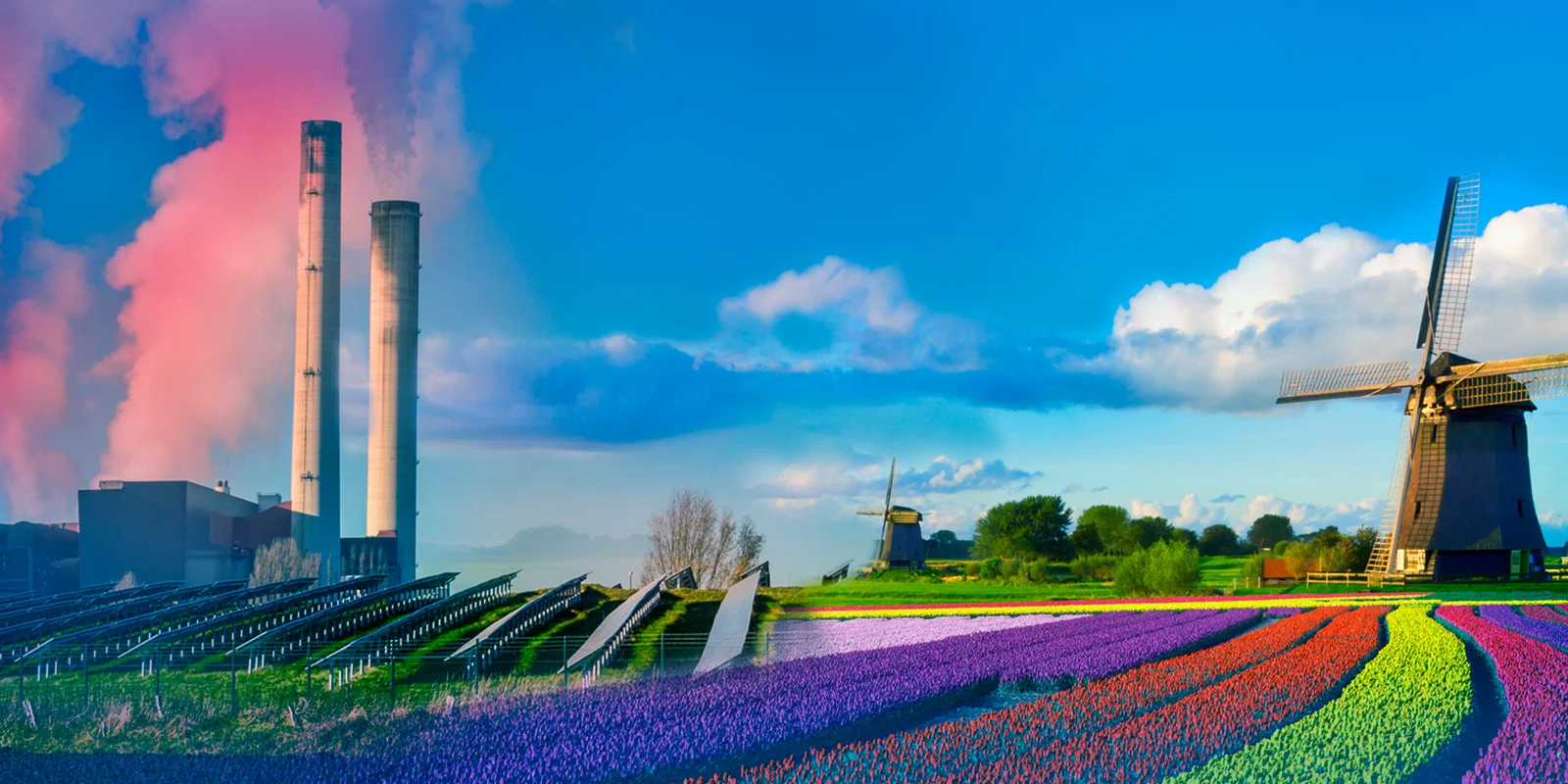 Peter Costea ◉ Made in Holland: incredibilele și deocheatele politici climatice olandeze