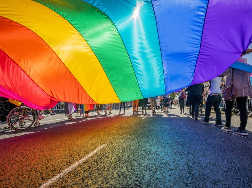 Cozmin Gușă ◉ Ofensiva LGBT are ca scop definirea 
