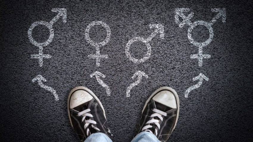 De ce 1 din 6 tineri americani se identifică a fi LGBT?