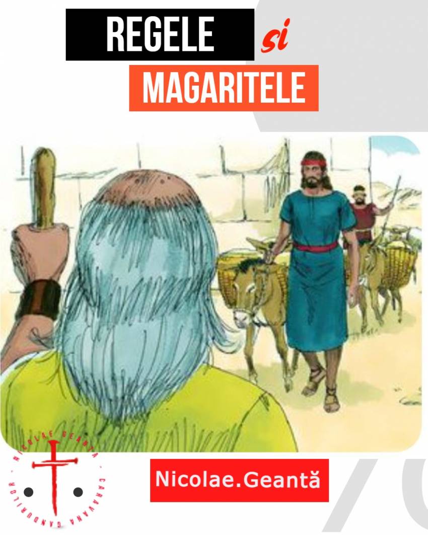 Nicolae Geantă ◉ Regele și măgărițele