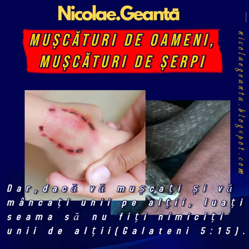 Nicolae Geantă ◉ Mușcături de oameni, mușcături de șerpi