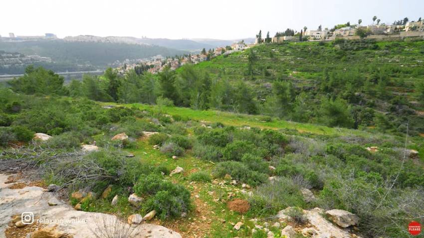 VIDEO: Ierusalimul, primăvara. Cea mai relaxantă plimbare în suburbiile Mevaseret Zion