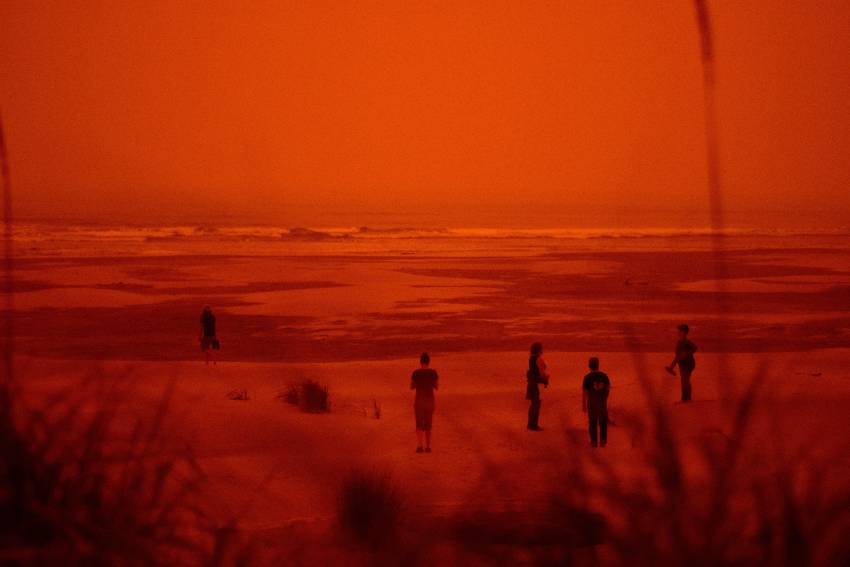 Tony Berbece ◉ Credeți că doar noi suntem scârbiți?