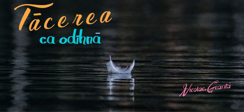 Nicolae Geantă ◉ Tăcerea ca odihnă